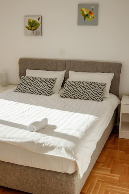 Acacia Hill Apartments Herceg Novi Dış mekan fotoğraf