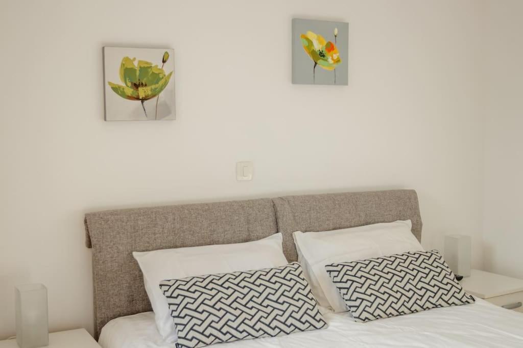 Acacia Hill Apartments Herceg Novi Dış mekan fotoğraf
