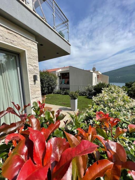 Acacia Hill Apartments Herceg Novi Dış mekan fotoğraf