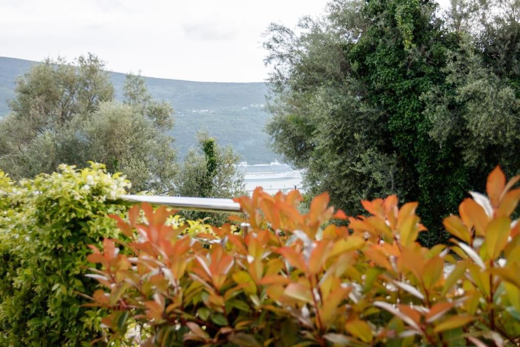 Acacia Hill Apartments Herceg Novi Dış mekan fotoğraf